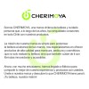 Pegamento Para Tips De Uñas Con Pincel 10ml 3pcs Cherimoya