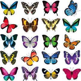 Frienda 40 Pieces Butterfly Anti-Collision Window Clings Large Size Window Butterfly Stickers Decals to Prevent Bird Strikes on Glass Non Adhesive Vinyl Cling Door Decor
