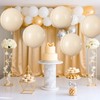 Cream Round Foil Balloons 9 pcs,Apricot Beige Giant 4D Round
