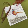 Bothy Threads Counted Cross Stitch Kit - A Festive Flourish