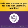 Nature Made Kids First Elderberry Vitamin C/Zinc Dietary Supplement, 40-Gummies