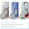 Brooklyn Fragrance Co Expressive Scent Reed Diffuser: Long-Lasting Home Fragrance,