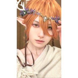 MOSTORY Purple Antler Fairy Crown - Deer Horns Elf Flower Headband Woodland Floral Headpiece Elven Leaf Circlet for Women Renaissance Renfaire Cosplay Photo Shoot