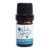 Aceite Esencial Eucalipto100% Puro Y Natural Eucalyptus