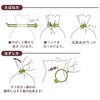 Kyowa Tabane Band - O - Shaped Band - Set