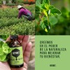 Aceite De Orégano Oliva Y Coco X2 Herbit 30ml Naturales