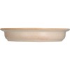 Yamaka Shoten PEANUTS SN981-320 Easy to Scoop, Curry Plate, L,