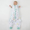 Owli Sleeping Guru Swaddle & Sleeping Bag, Zoo Zoo, 0-36