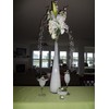 Water Beads for Wedding Centerpieces and Every Occasion Decorations You