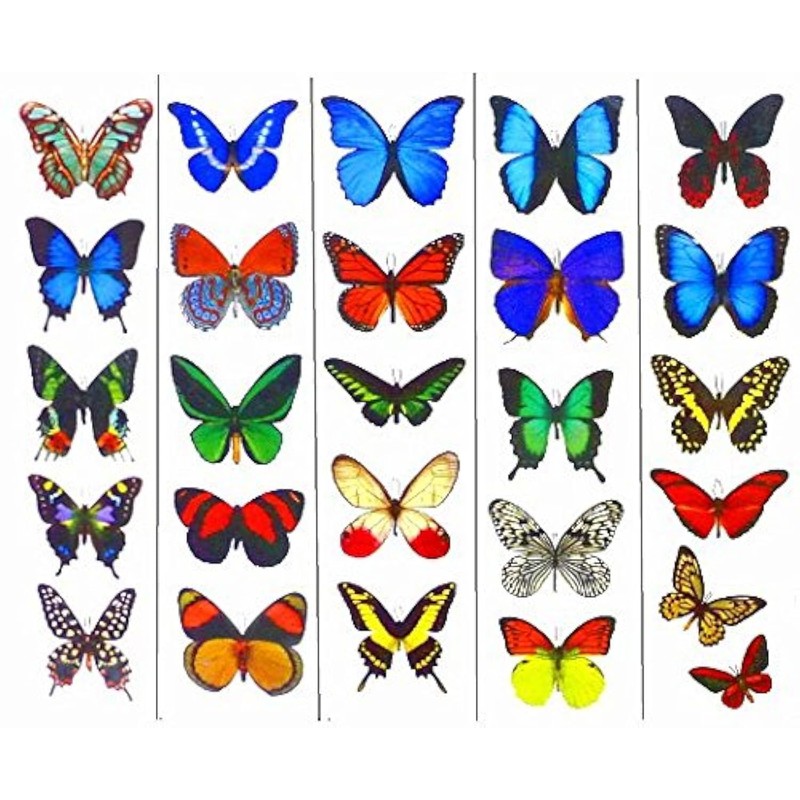 Colorful Temporary Butterfly Tattoos - 5 Sheets - by Butterfly
