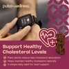 Pulse Wellness | Plant Sterols | Gummies | Mixed Berries