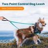 PetBonus Two Point Control Dog Leash, Works with No Pull