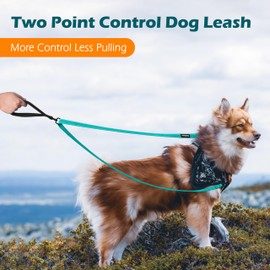 PetBonus Two Point Control Dog Leash, Works with No Pull Harnesses, No Tangle Dog Training Leashes, No Pull Padded and Reflective Walking Lead,Converts to Single Leash for Medium Large Dogs(Turquoise)
