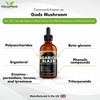 Feel Supreme Agaricus Blazei Extract Liquid Supplement 60ml Full Fruiting