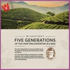 Wissotzky Green Tea with Jasmine, 20 Tea Bags | Antioxidant