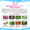 SORAemi All-in-One Gel UV Damage Protection, Moisturizing, Skin Barrier Care,