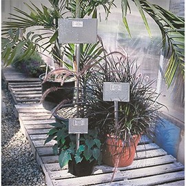Galvanized Steel Plant Sign Holder for Nurseries, Greenhouses 5"W x 4"H x 18"L