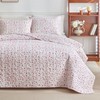 mixinni Full Queen Quilt Bedding Set with Pillow Shams, 3