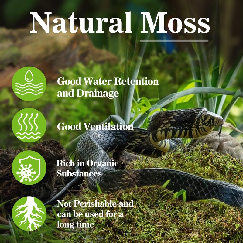 Sukh Sphagnum Moss for Reptiles -Terrarium Moss for Reptiles Peat