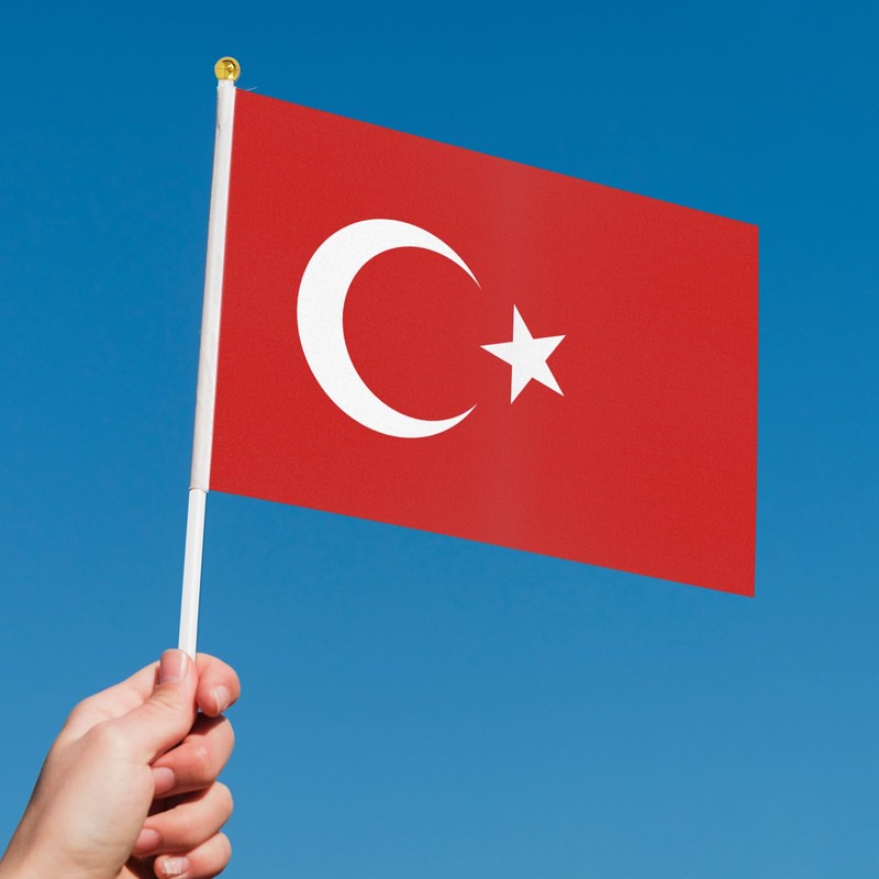 ASUNO 20 Pack Flags HandHeld Small Banners 14 × 21