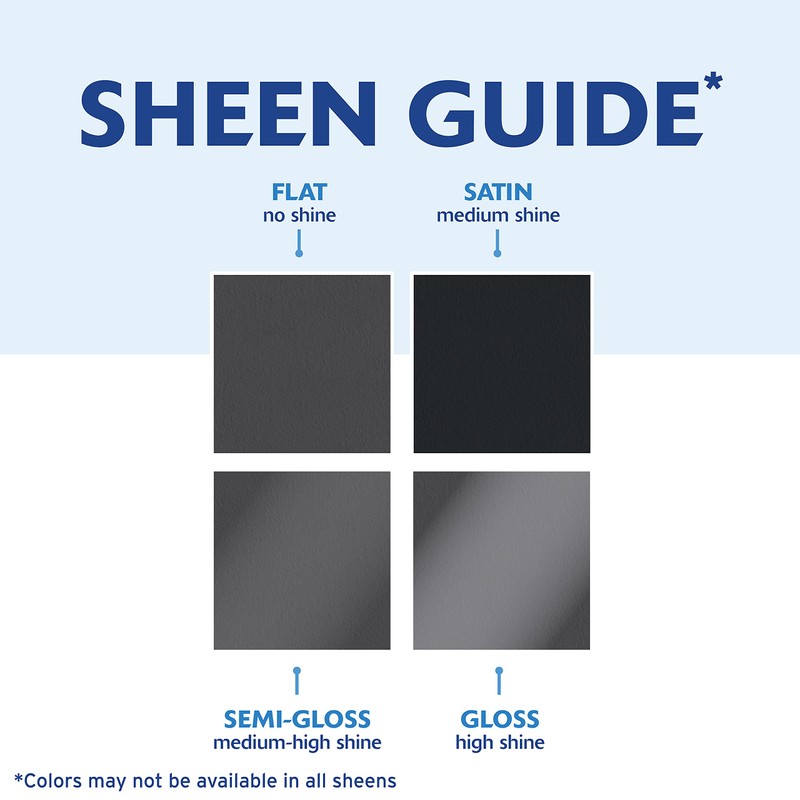 Rust-Oleum 331187-6PK Painter's Touch 2X Ultra Cover Spray Paint, 12