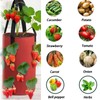 2-Pack Hanging Strawberry Grow Bags: Durable Planter Bags for Strawberries,