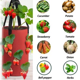2-Pack Hanging Strawberry Grow Bags: Durable Planter Bags for Strawberries, Tomatoes & Herbs with Handles and Drainage Holes for Easy Gardening
