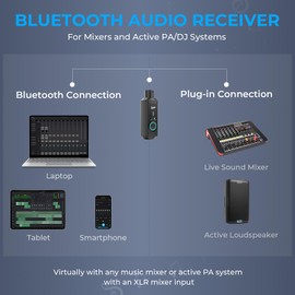 SINWE P16 Wireless Bluetooth 5.3 XLR Receiver - 24bit/48kHz 160ft Range & 15H Battery,Bluetooth Adapter for Speakers, Audio Mixer, PA Systems, DJ Systems (USB-C Rechargeable)