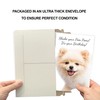 Prime Greetings Funny Dog Birthday Card Pun With Pomeranian, Made