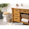 StorageWorks Wicker Waste Basket, Small Trash Can, Wicker Trash Basket