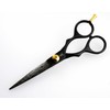 Sanguine Professional Hair Scissors in Jet Black Spider 5.5 Inches