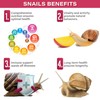 Gargeer 2oz Land Snail Complete Diet with Fruit. Nutritious, Balanced,
