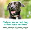 TropiClean Fresh Breath Water Additive for Dogs, Dog Breath Freshener