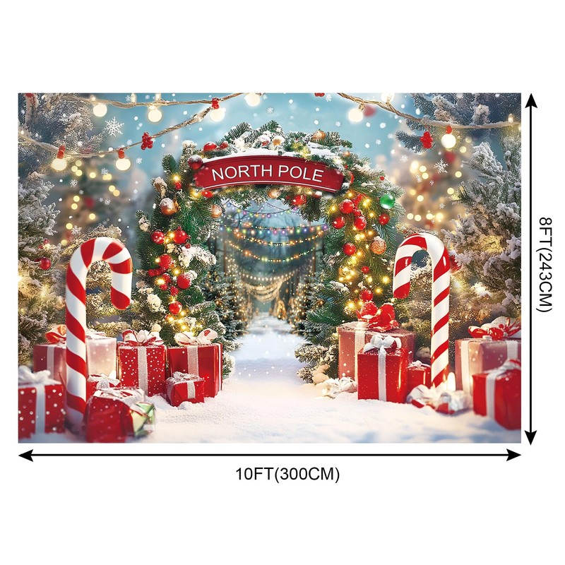 Rieetmk Christmas Backdrop - Winter Snow Scene with Candy Canes
