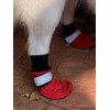 LONSUNEER Winter Paw Protector Dog Boots for Large Dogs, Waterproof