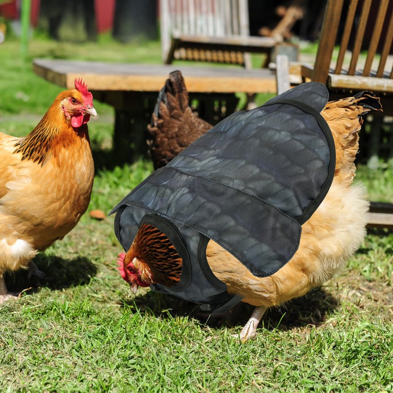Chicken Saddles for Hens, Chicken Apron Back Protector Hen Mating