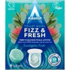 Astonish Foaming Eucalyptus Fresh Fizz & Fresh Bathroom Toilet Bowl
