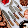 Wilson Roy Professional Kitchen Knives Custom Made Damascus Steel 5