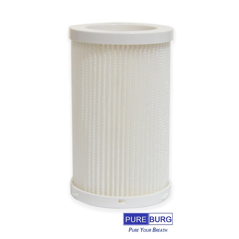 PUREBURG Replacement Filter Set Compatible with DH Lifelabs Aaira HEPA