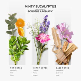 Aromaplan Hotel Scents Minty Eucalyptus 5 Fl Oz (148ml), Home Luxury Aroma & Hotel Fragrance Diffuser Oil- Hotel Diffuser Oil for Aromatherapy- USA Made, Bigger Bottle, Bolder Aroma & Longer Lasting