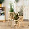 Woven Flower Pot Faux Rattan Planter High Living Room Floor