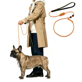 Correa deslizante para perros pequeños y medianos, ligera, fina pero resistente, ajustable, suave y delgada, 180 cm de largo, 0,5 cm de ancho (naranja, 1,8 m de largo)