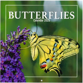 2025 Hanging Wall Calendar Bees & Butterflies Beautiful Family Planner Large Month To View Square Organiser (Butterflies)