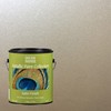 1 gal Modern Masters ME221 Warm Silver Metallic Paint Collection,