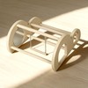 Chicken Perch with Swing & Mirror, Waterproof PVC Roosting Stand