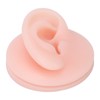 Professional Soft Silicone Ear Model Fake Ear Display Sample Ear