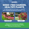Agrisel GrassOut Max Weed Killer, Targets 50+ Grassy Weeds Without