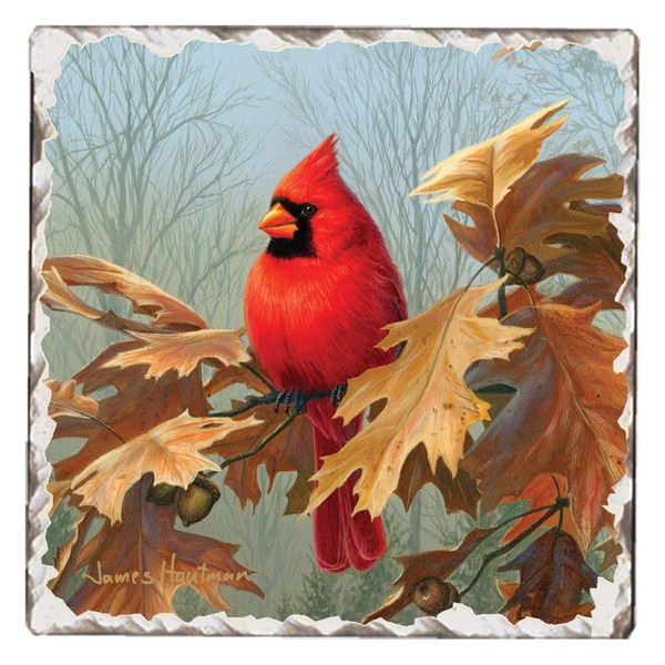 CounterArt Cardinals Style Two Single Tumbled Tile Coaster 1 Pack Coaster measures 4 inch by 4 inch