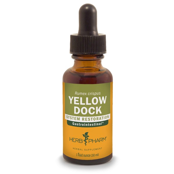 Herb Pharm Yellow Dock Liquid Extract for Digestive System Support - 1 Ounce
