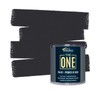 THE ONE All-In-One Paint & Primer - Charcoal Satin, 8.5